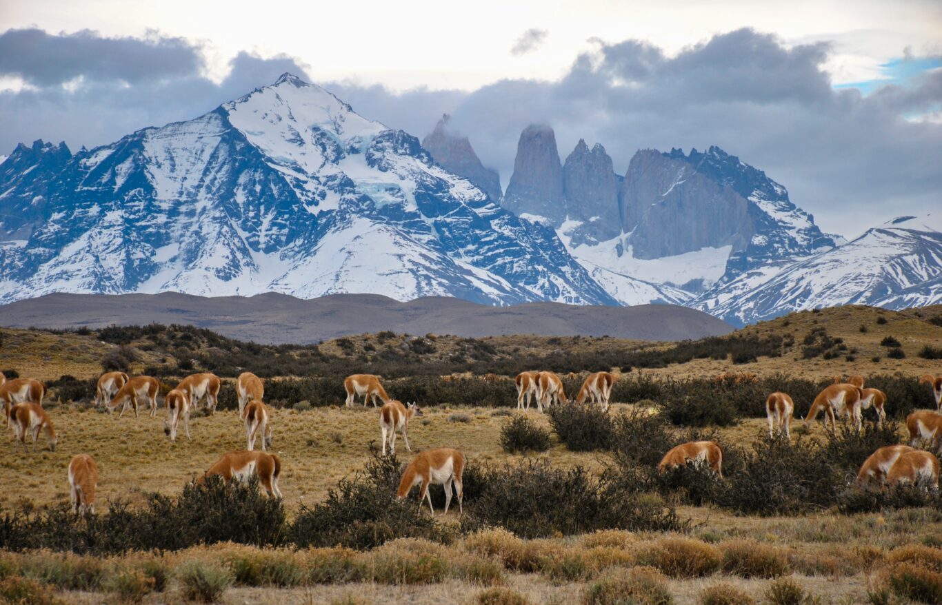 Privatrundreise "Chile - Land der Extreme" Hintergrundbild