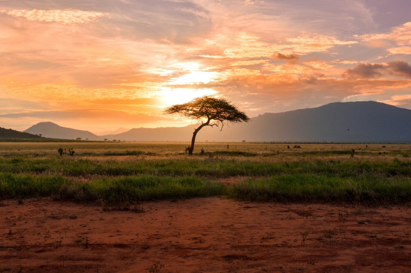 Kenia Safari