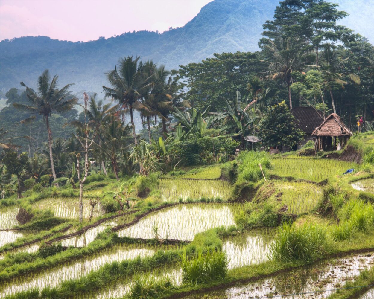 Malerische Kulissen in Sidemen, Süd Bali & Baden auf Nusa Lembongan Hintergrundbild
