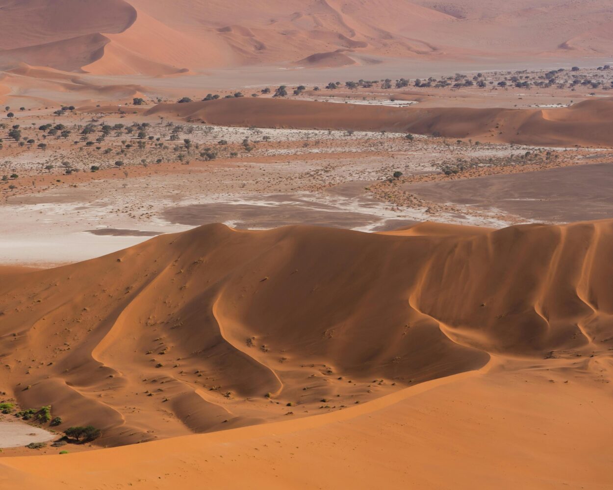 Camping Safari "11 Tage durch Namibia" (inkl. Fluganreise) Hintergrundbild
