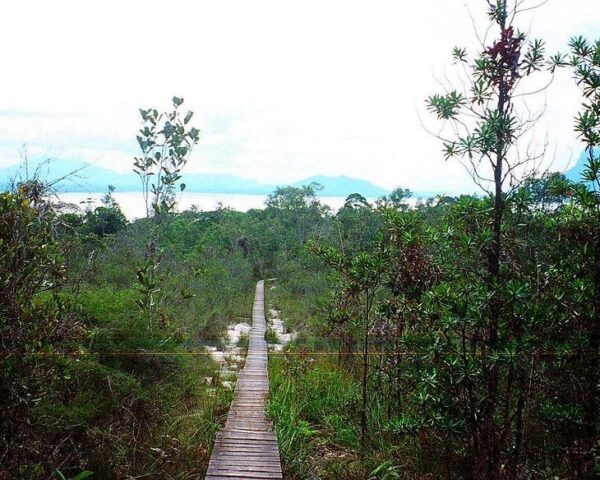 Reiseangebote Bako National Park