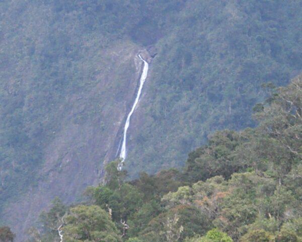 Reiseangebote Kinabalu National Park