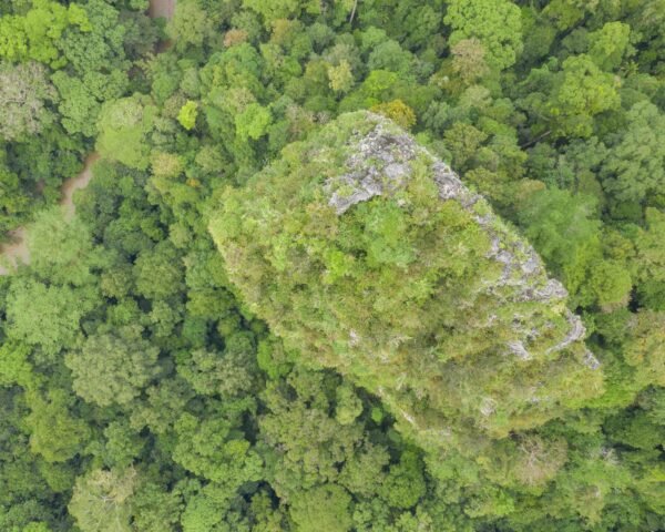 Reiseangebote Sapulut, Sabah