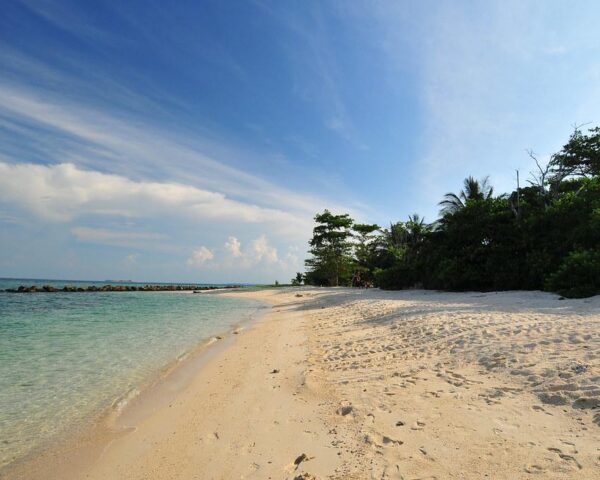 Reiseangebote Selingan Island