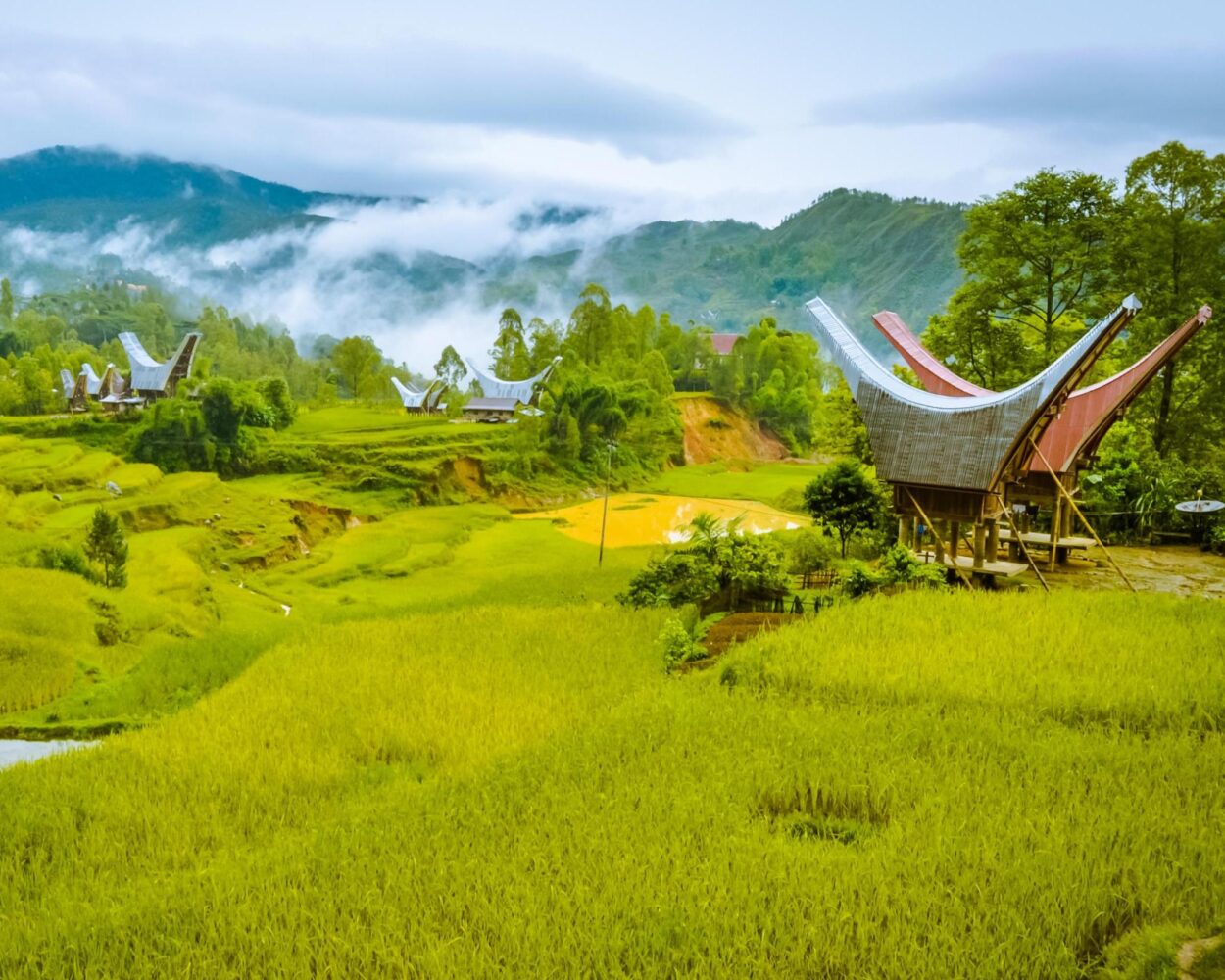 Stopover Jakarta, Rundreisekombi Sulawesi & Baden auf Bali Hintergrundbild