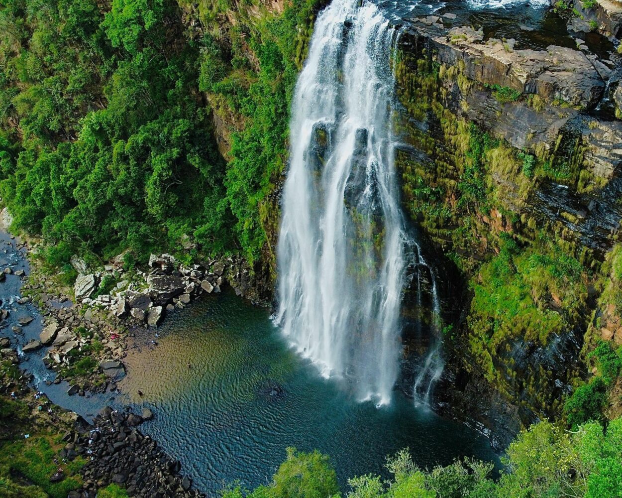 Safari "Kruger Nationalpark mit Panorama Route" Hintergrundbild