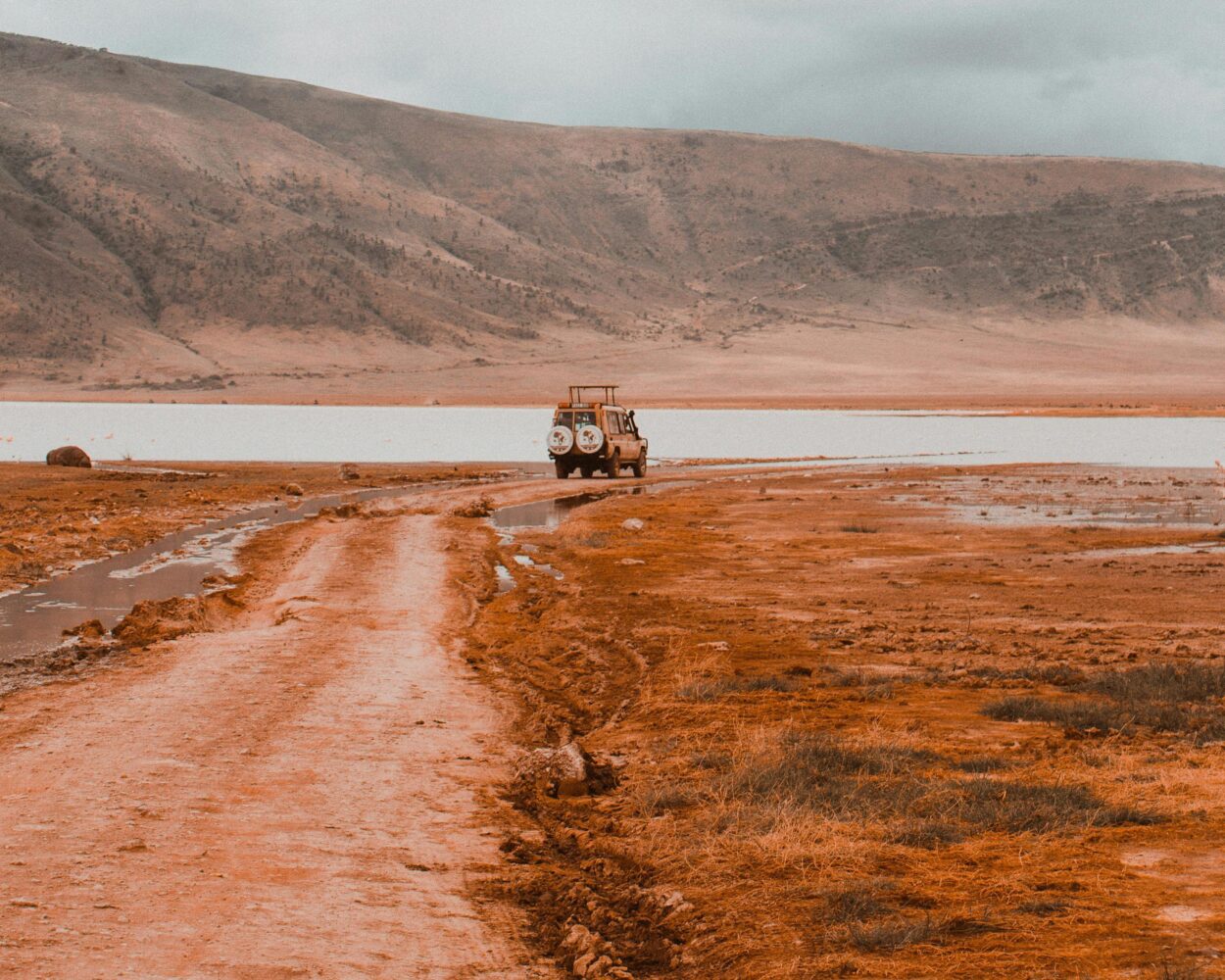 Safari "Ngorongoro und Serengeti Nationalpark" Hintergrundbild