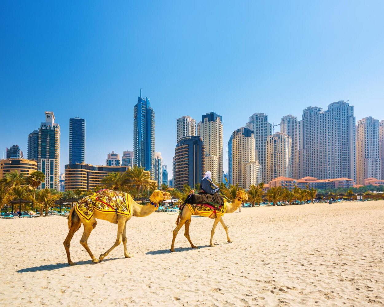 Kurztour "Dubais Fata Morganas" & Baden auf den Seychellen Hintergrundbild