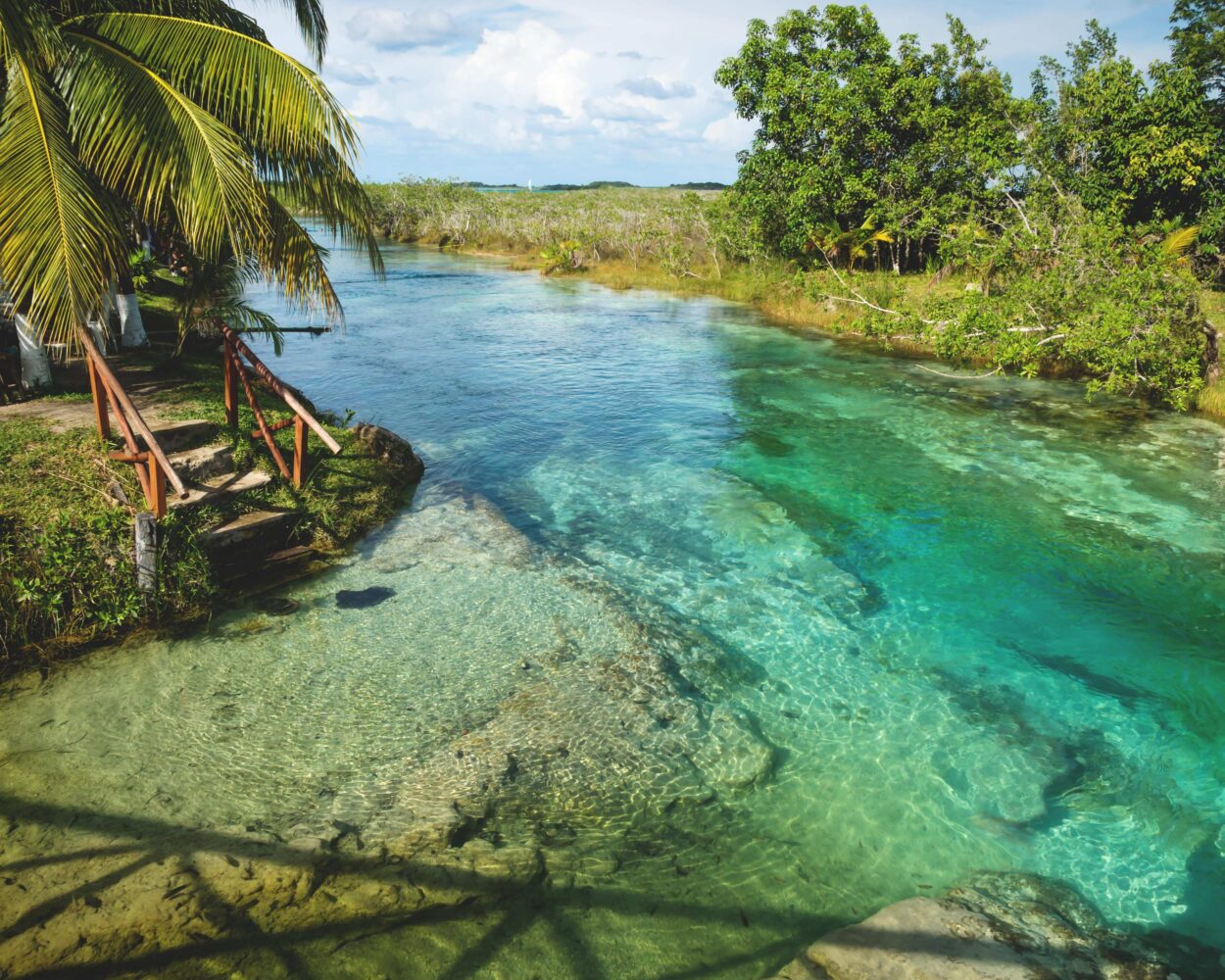 Bacalar