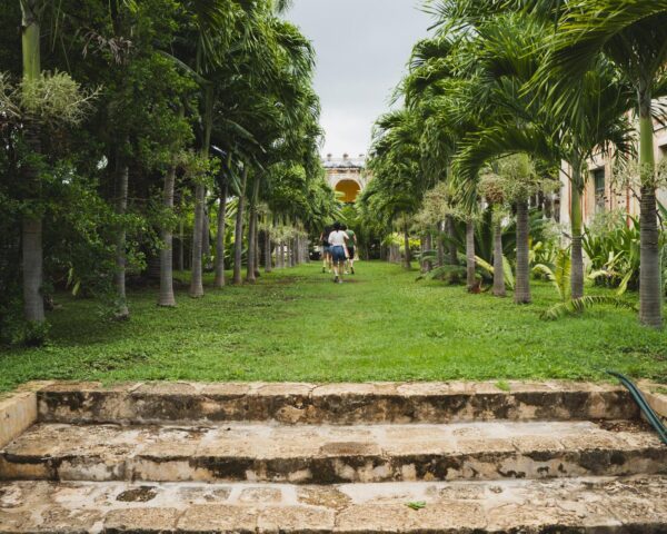 Reiseangebote Merida