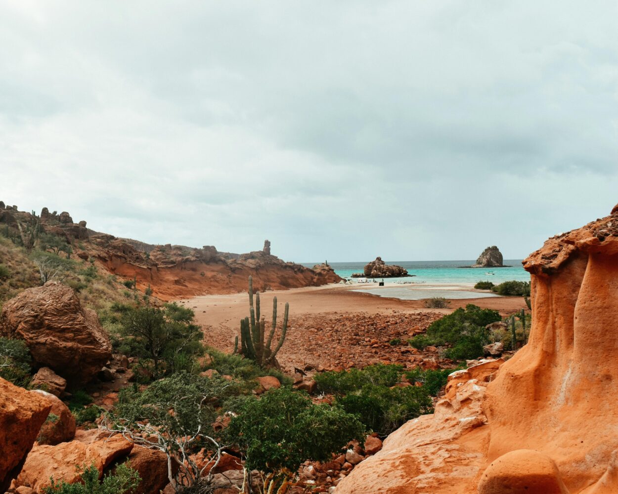 Rundreise "Abenteuer Baja California Sur" Hintergrundbild