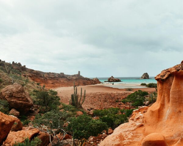 Rundreise "Abenteuer Baja California Sur"