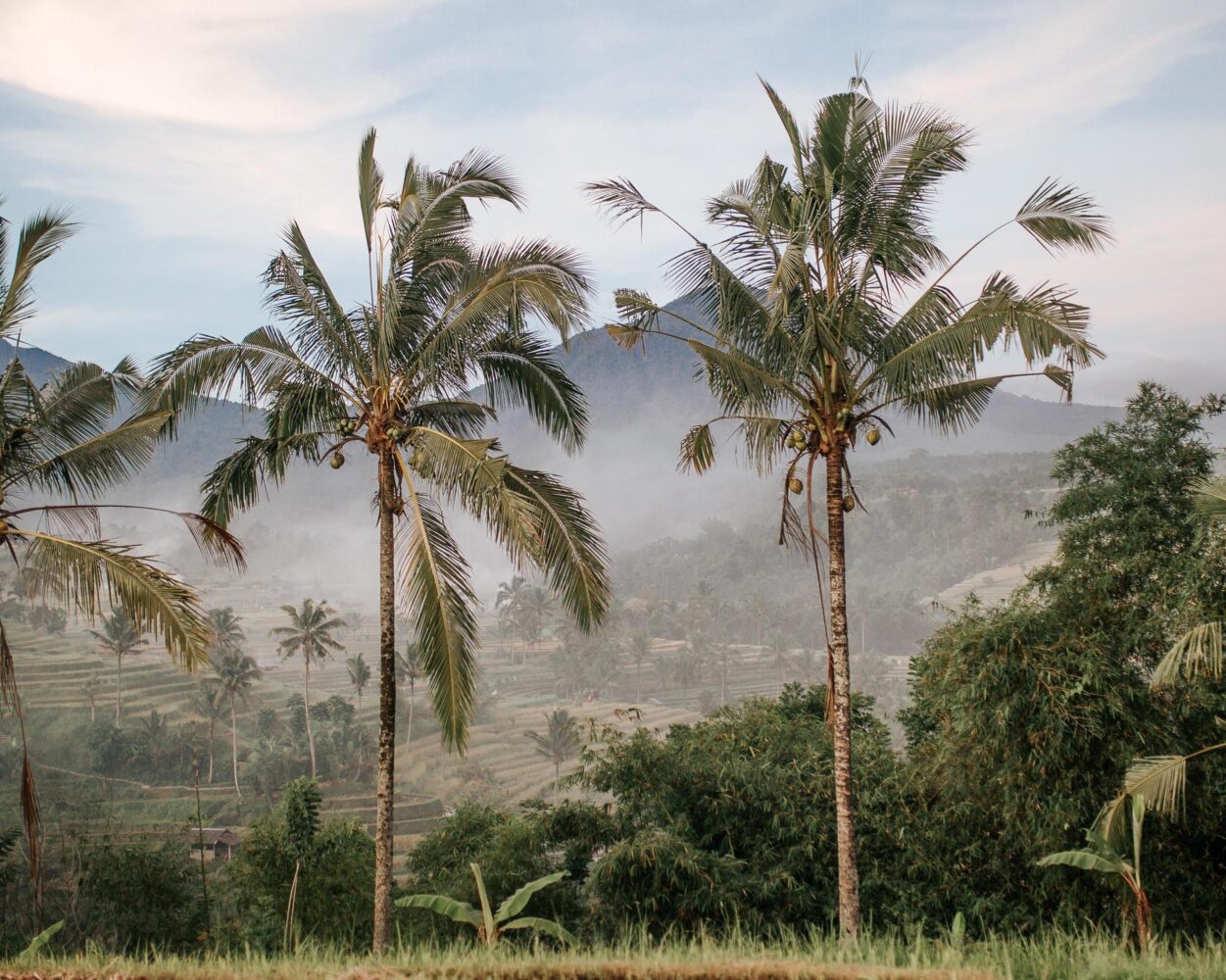 Stopover Singapur, Privatrundreise "Balis Highlights komplett" & Baden Hintergrundbild