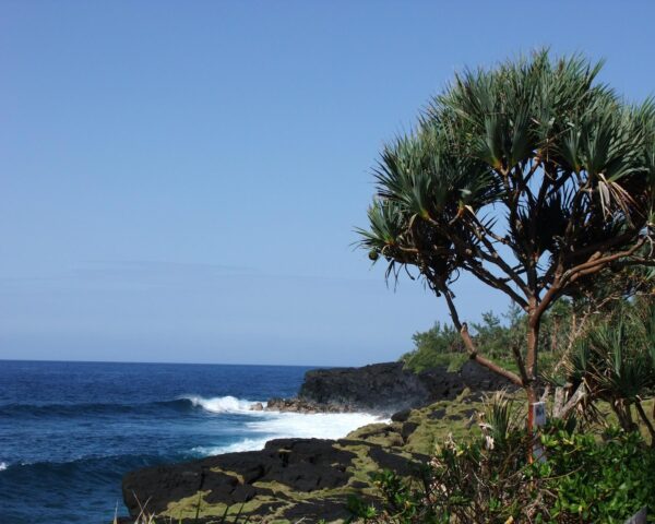 La Réunion: Selbstfahrer-Rundreise "Le petite tour" & Baden DeLuxe