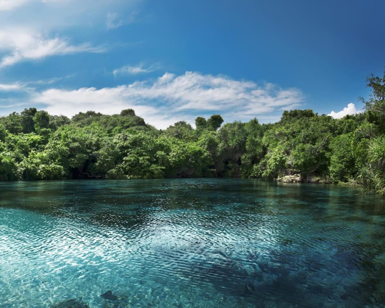 Reisfelder auf Bali, Abenteuer auf Sumba & Baden Hintergrundbild