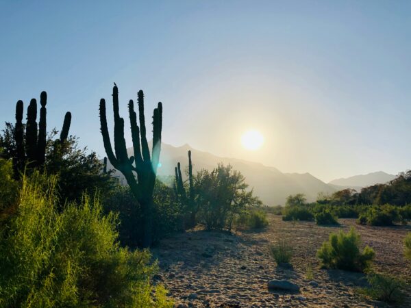 San José del Cabo