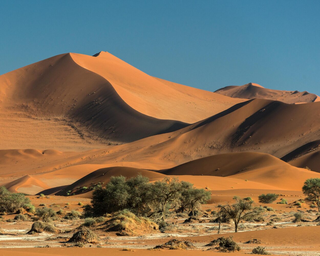 Aktivurlaub Namibia: Windhoek, Sambesi Region, Sossusvlei und Küste (mit Ausflügen) Hintergrundbild