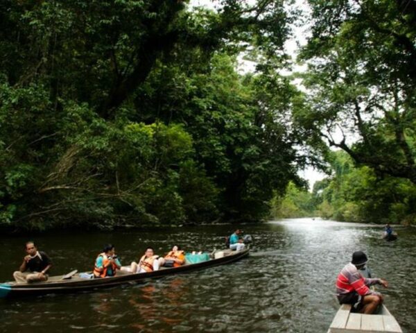 Dubai, Kurztour "Taman Negara Jungle" & Baden Phuket