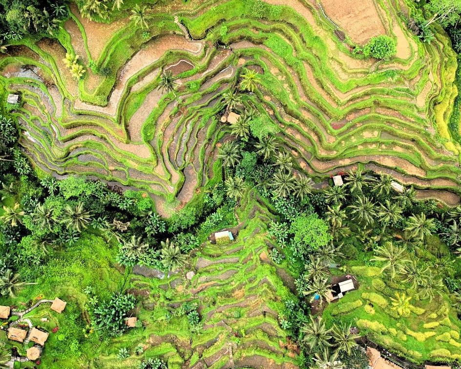 Bali Strandurlaub & Künstlerdorf Ubud Hintergrundbild