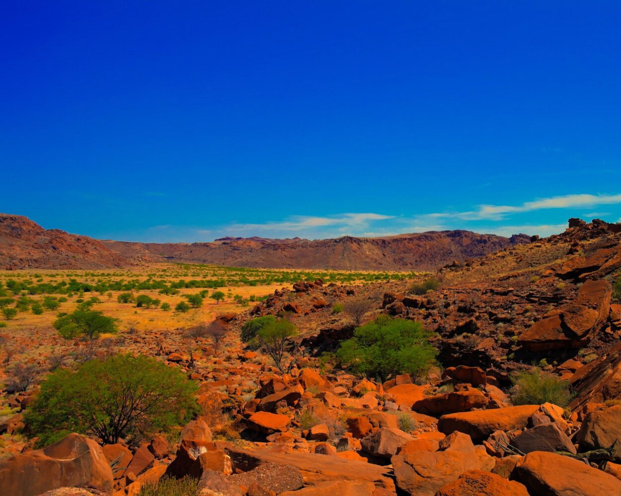 Mietwagenrundreise "Spitzkoppe, Damaraland, Etosha- & Waterberg Nationalpark" Hintergrundbild