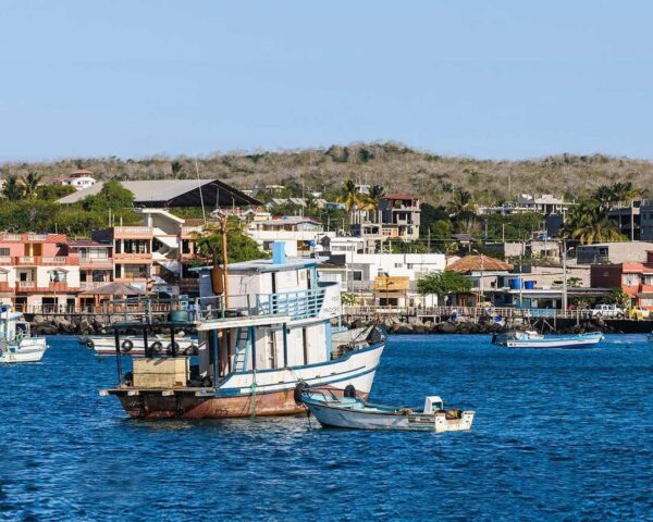 Rundreise "Durch die Anden von Ecuador" & Galapagos individuell inkl. Ausflug