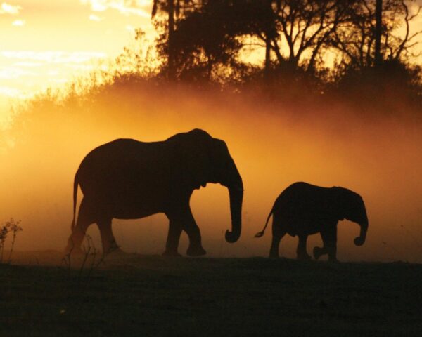 Rundreise "Entdeckungsreise Namibia" & Baden Mauritius