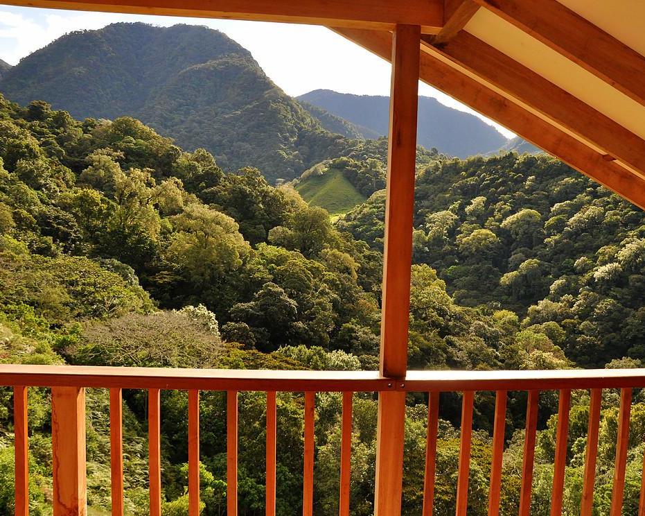 Kurztour "Mount Totumas Cloud Forest Lodge" (3 Nächte) Hintergrundbild