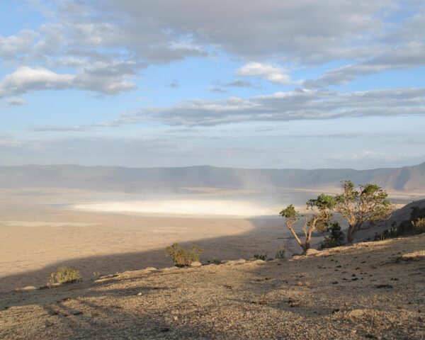 Flugsafari "Serengeti, Ngorongoro und Lake Manyara" & All Inclusive Sansibar