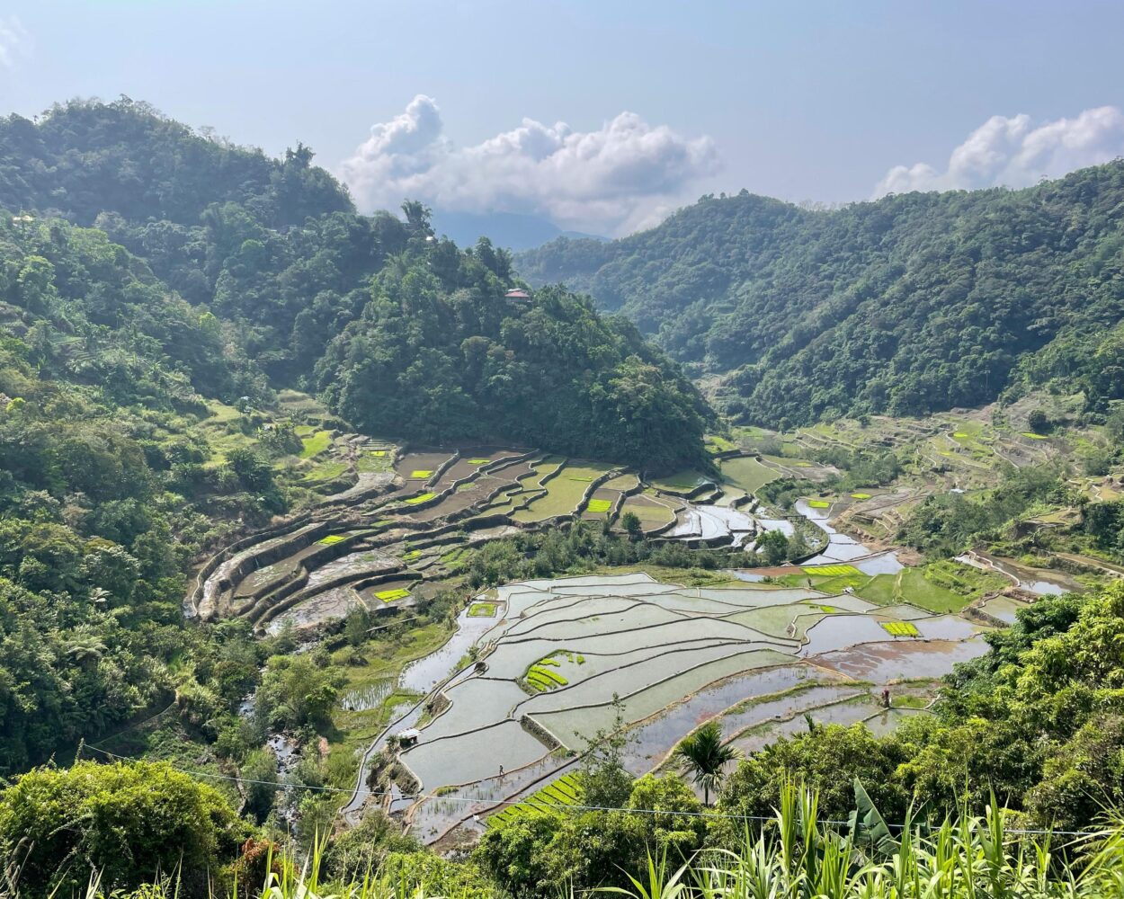 Private Kurztour "Banaue & Sagada" Hintergrundbild