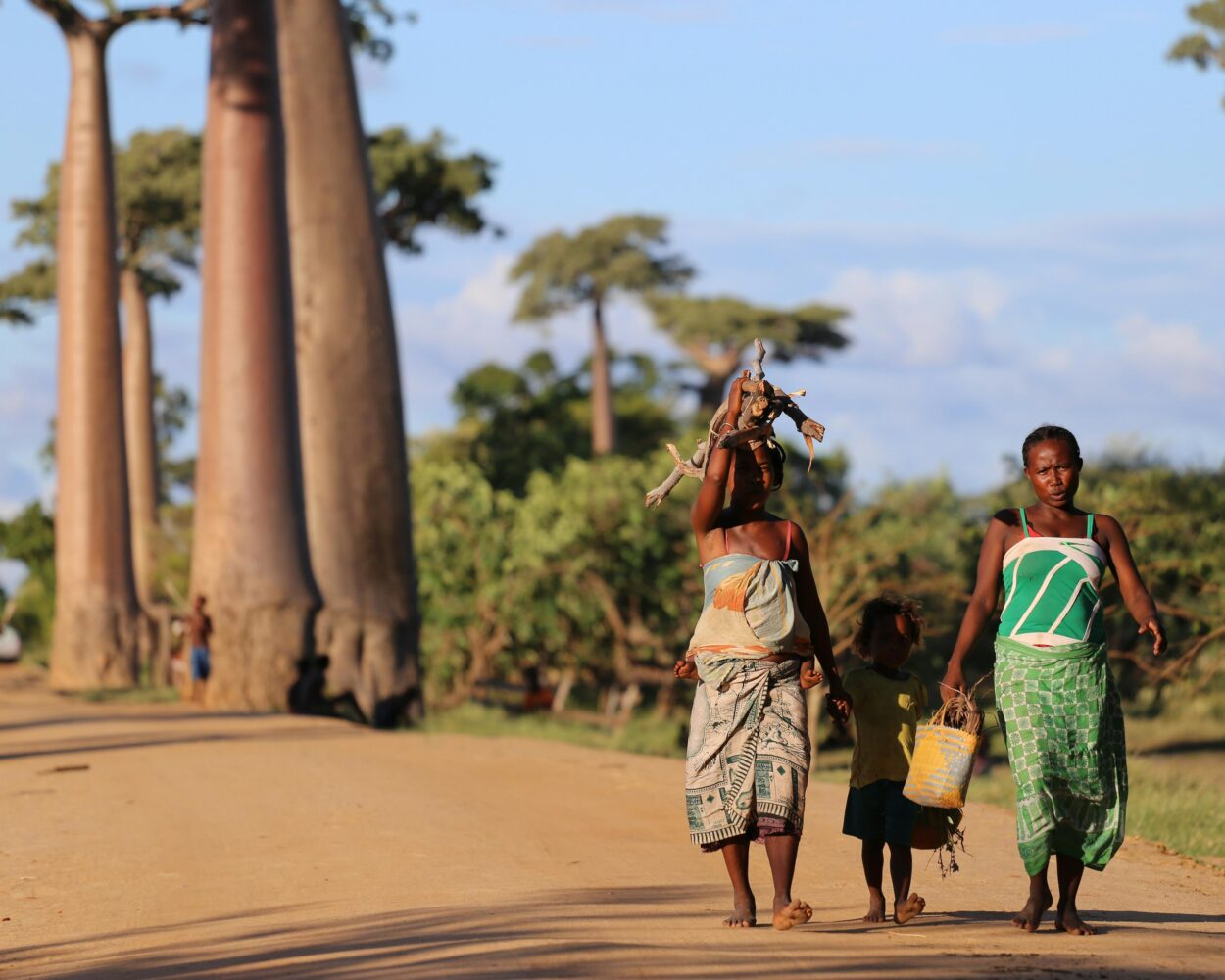 Rundreise "Madagaskar: Menschen und Lemuren" Hintergrundbild