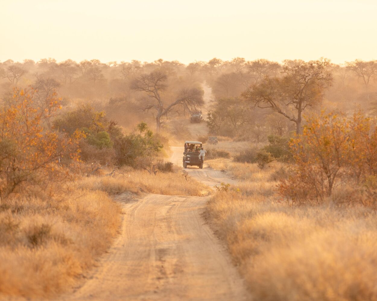 Familienreise nach Südafrika: Kapstadt & Safari im Amakhala Wildreservat (ink. Mietwagen) Hintergrundbild