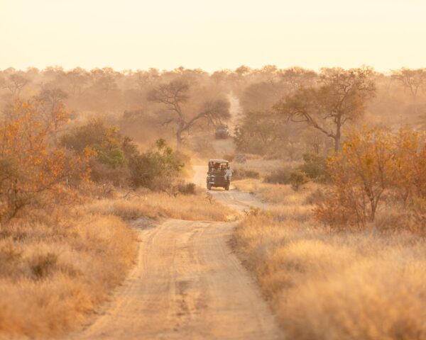 Familienreise nach Südafrika: Kapstadt & Safari im Amakhala Wildreservat (ink. Mietwagen)