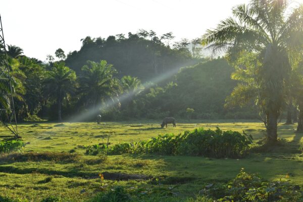 Thailand-Erlebnisreise: Stadt, Natur & Strand